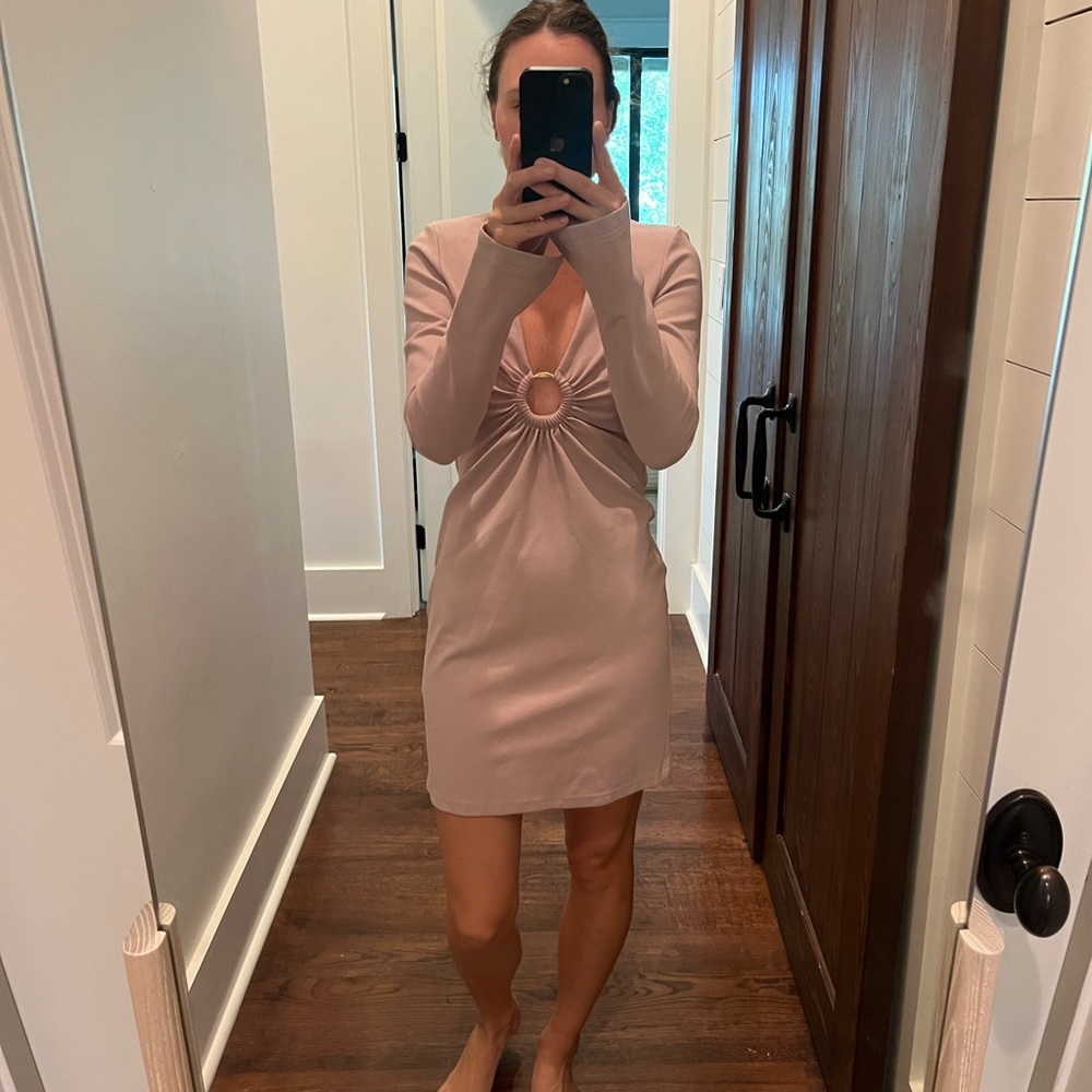 NICHOLAS Blush Long Sleeve Dress with Ring Accent
